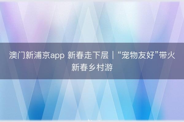 澳门新浦京app 新春走下层｜“宠物友好”带火新春乡村游