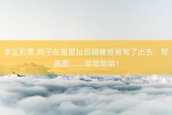 幸运彩票 狗子在屋里扯后腿被爸爸驾了出去，那画面……哈哈哈哈！