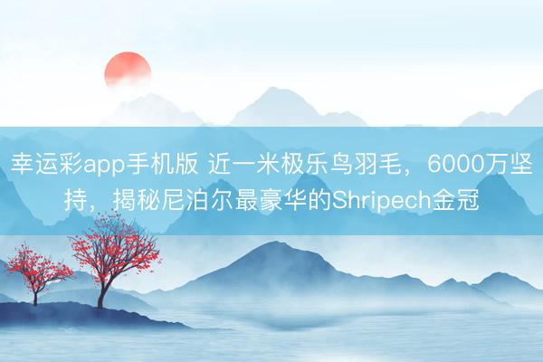 幸运彩app手机版 近一米极乐鸟羽毛，6000万坚持，揭秘尼泊尔最豪华的Shripech金冠